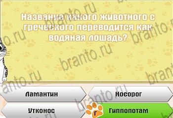 Самый умный котёнок Одноклассники подсказки Уровень 213