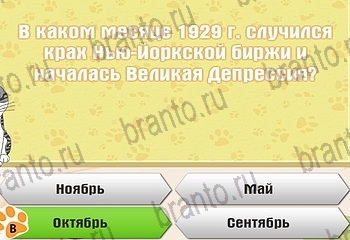 Самый умный котёнок ответы на все задания Уровень 217