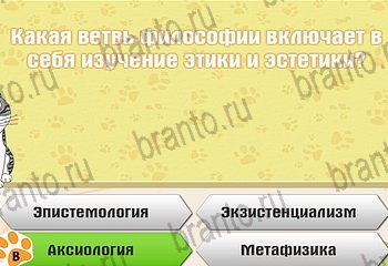 Самый умный котёнок в Одноклассниках найти ответы Уровень 218