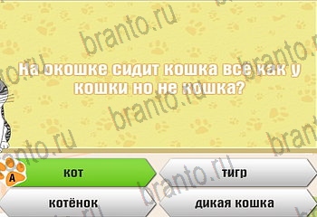 Самый умный котёнок ответы Уровень 220