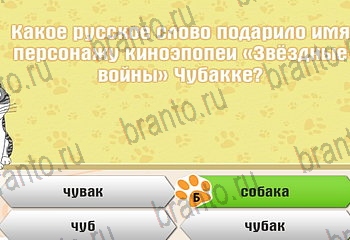 Самый умный котёнок из одноклассников помощь Уровень 226