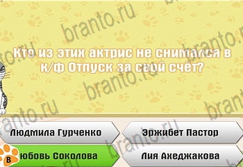 Игра Самый умный котёнок Одноклассники решения Уровень 227