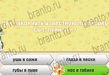 Самый умный котёнок разгадки к игре Уровень 231