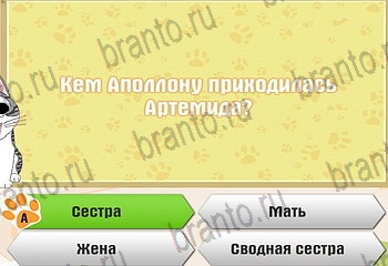игра Самый умный котёнок разгадки на все задания Уровень 232