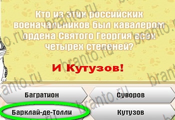 игра Самый умный котёнок все ответы Уровень 234