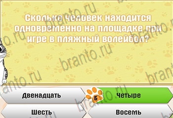 Одноклассники Самый умный котёнок ответ на Уровень 242