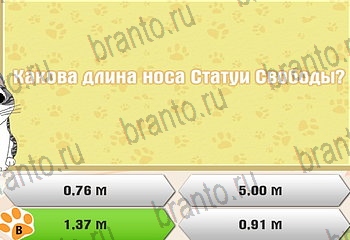 игра Самый умный котёнок в Одноклассниках ответы Уровень 249