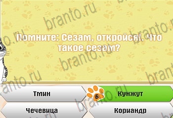Самый умный котёнок в Одноклассниках подсказки Уровень 253