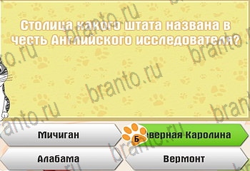 Самый умный котёнок помощь Уровень 255