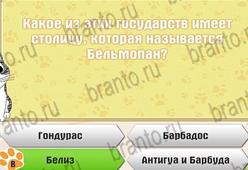 Самый умный котёнок из одноклассников помощь Уровень 256