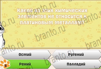 Самый умный котёнок Одноклассники решения на игру Уровень 258