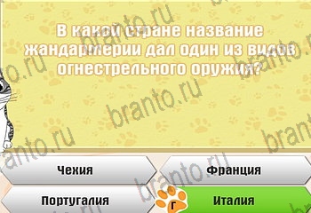 Самый умный котёнок все отгадки Одноклассники Уровень 259