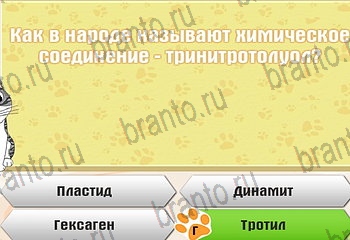 игра Самый умный котёнок разгадки на все задания Уровень 262