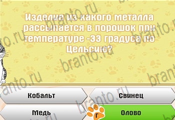 подсказки на все уровни игры Самый умный котёнок Уровень 266