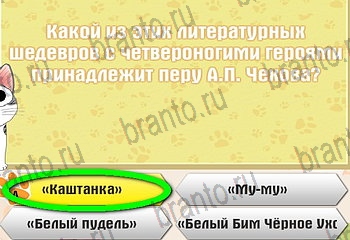 все решения к игре Самый умный котёнок Уровень 267