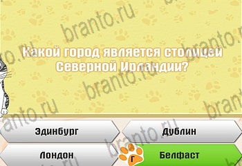Одноклассники Самый умный котёнок ответ на Уровень 272