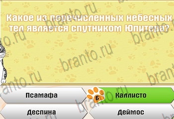 Самый умный котёнок Одноклассники подсказки Уровень 273