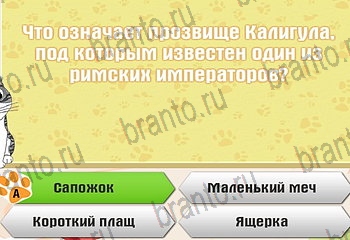 Одноклассники Самый умный котёнок решебник к игре в Одноклассниках Уровень 276