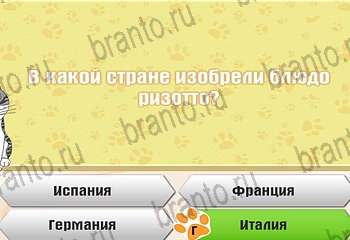 Самый умный котёнок ответы на все задания Уровень 277