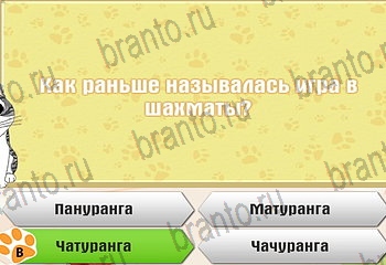 Самый умный котёнок из одноклассников помощь Уровень 286
