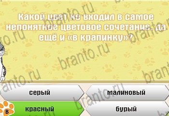 Игра Самый умный котёнок Одноклассники решения Уровень 287