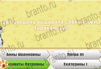 Самый умный котёнок все отгадки Одноклассники Уровень 289
