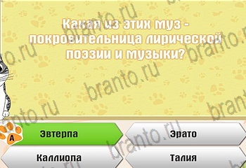 Самый умный котёнок разгадки к игре Уровень 291