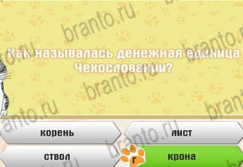 подсказки на все уровни игры Самый умный котёнок Уровень 296