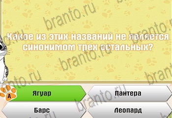 Одноклассники Самый умный котёнок ответ на Уровень 362