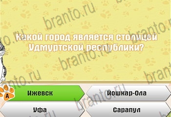 Самый умный котёнок Одноклассники подсказки Уровень 363