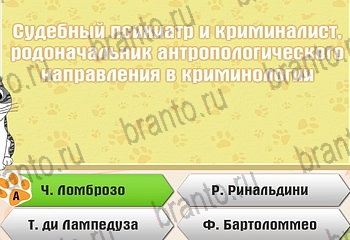 Самый умный котёнок ответы на все задания Уровень 367
