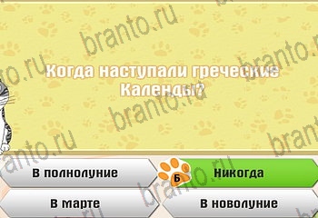 Самый умный котёнок в Одноклассниках найти ответы Уровень 368