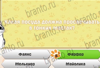 Самый умный котёнок ответы Уровень 370
