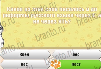 Самый умный котёнок помощь Уровень 375