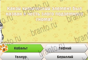 Самый умный котёнок из одноклассников помощь Уровень 376