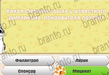 Игра Самый умный котёнок Одноклассники решения Уровень 377