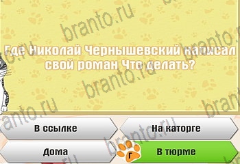 Самый умный котёнок Одноклассники решения на игру Уровень 378