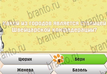Самый умный котёнок все отгадки Одноклассники Уровень 379