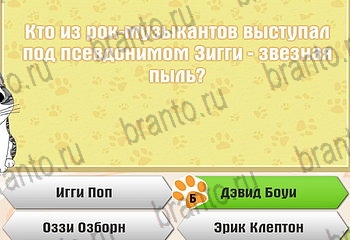 игра Самый умный котёнок все отгадки в Одноклассниках Уровень 380