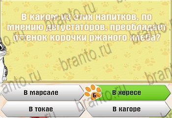 Самый умный котёнок разгадки к игре Уровень 381