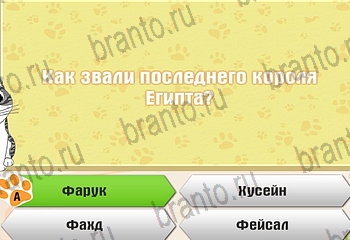 игра Самый умный котёнок разгадки на все задания Уровень 382