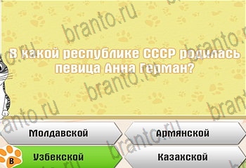 Самый умный котёнок все ответы Уровень 383