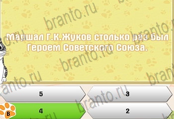 игра Самый умный котёнок все ответы Уровень 384