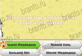 ответы на все уровни игры Самый умный котёнок Уровень 385