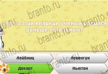 все решения к игре Самый умный котёнок Уровень 387