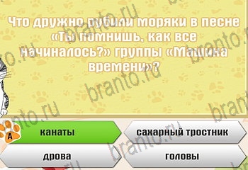 Самый умный котёнок игра ответы Уровень 389