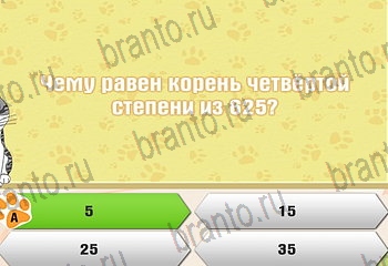 Самый умный котёнок ответы Уровень 391
