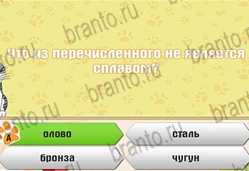 Самый умный котёнок ответы на все задания Уровень 397