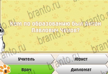 Самый умный котёнок в Одноклассниках найти ответы Уровень 398