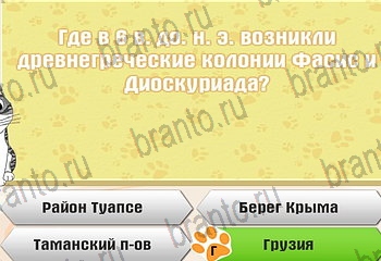 Самый умный котёнок ответы Уровень 400